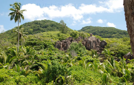 Seychelles, viaggi a Praslin